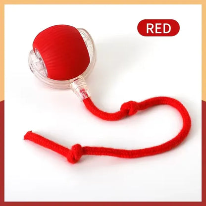 Self-Rolling Rechargeable Dog Ball