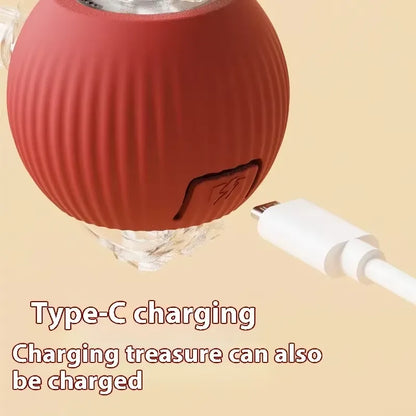 Self-Rolling Rechargeable Dog Ball