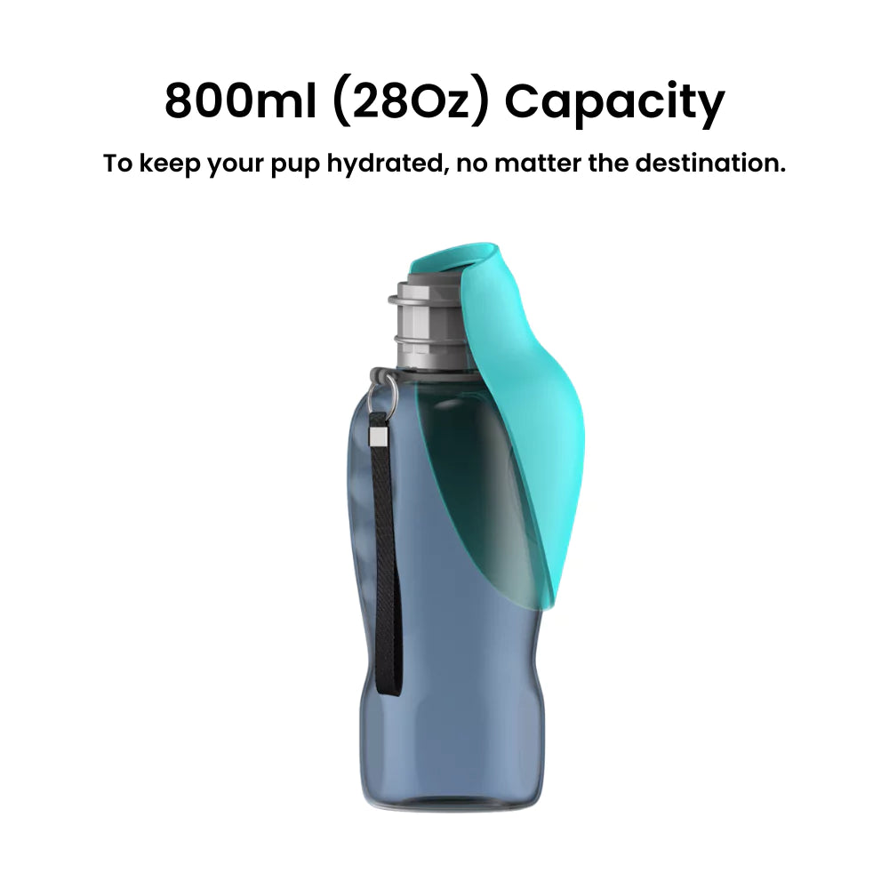 Pink Dog Water Bottle | No Spill