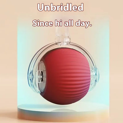 Self-Rolling Rechargeable Dog Ball