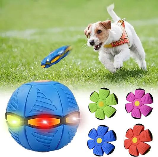 Light-Up Flying Saucer Dog Toy