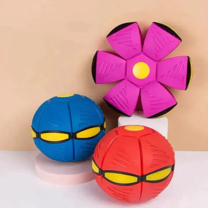 Light-Up Flying Saucer Dog Toy