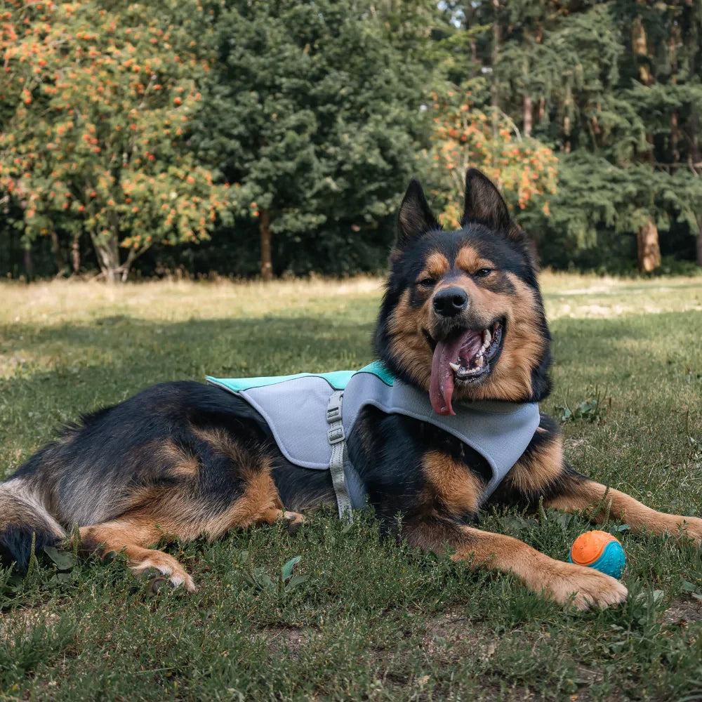 Blue Active Cool Dog Vest