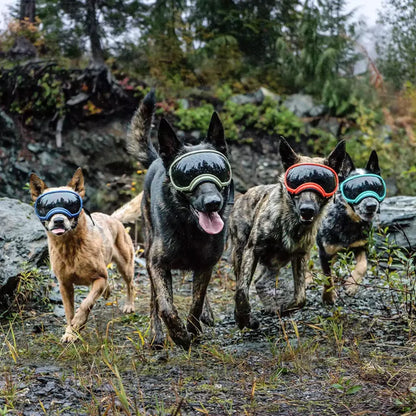 UV400 Sun and Wind Dog Goggles