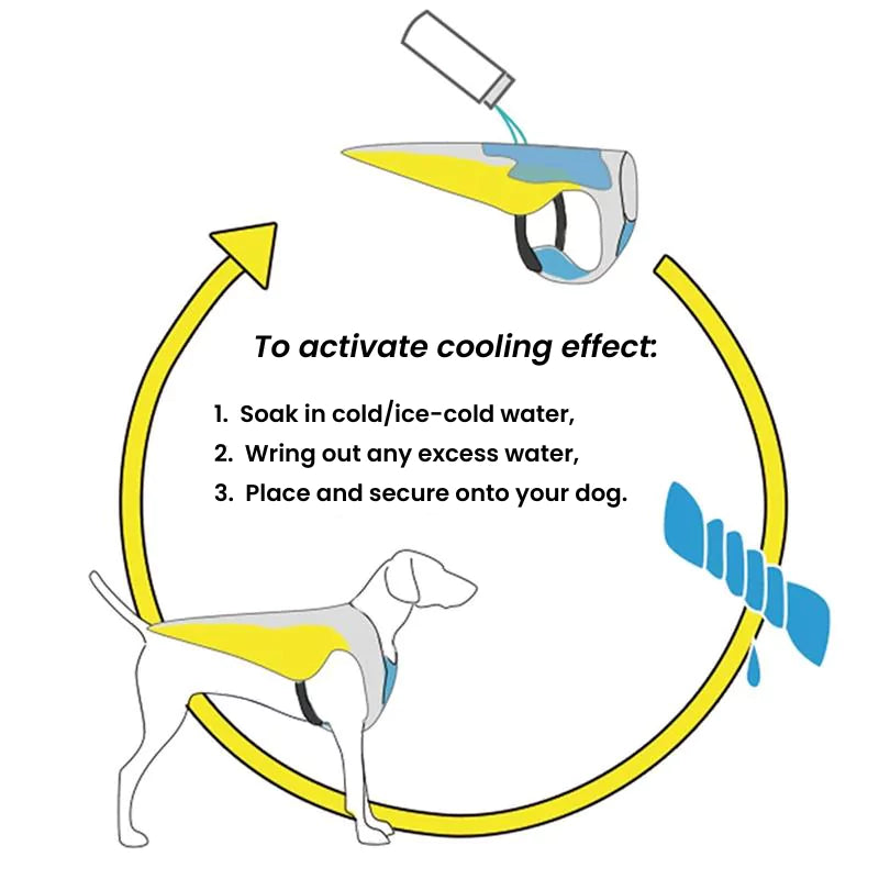 Blue Active Cool Dog Vest