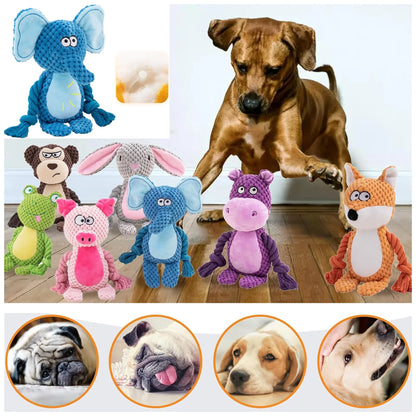 Squeaky Crinkle Dog Tug Toy