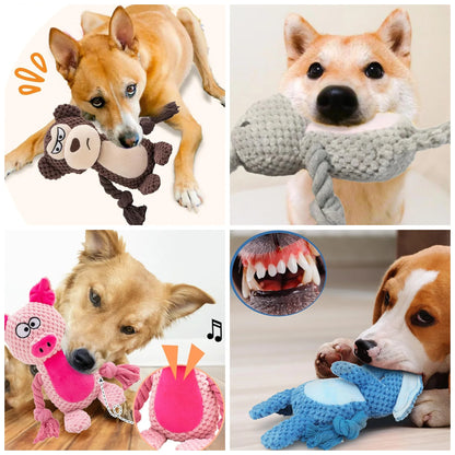 Squeaky Crinkle Dog Tug Toy