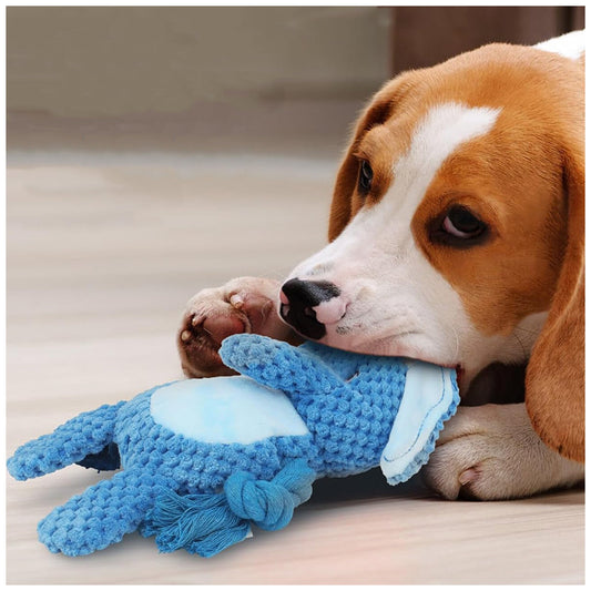 Squeaky Crinkle Dog Tug Toy