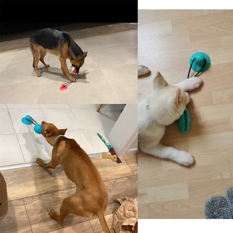 Treat Dispensing Dog Tug Toy
