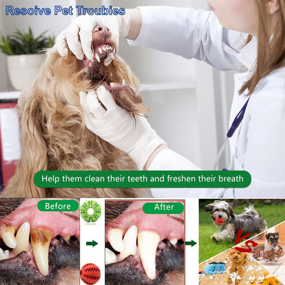Treat Dispensing Dog Chew Toy