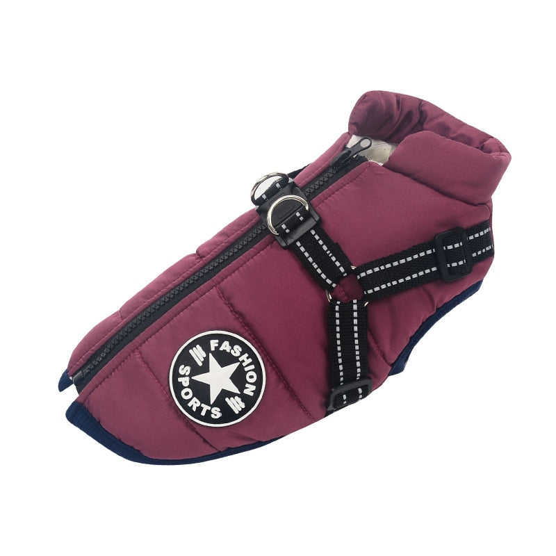 Water-Repellent Winter Dog Coat with Built-In Harness