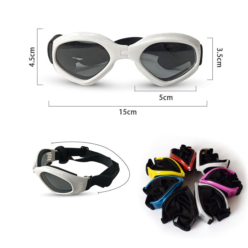 Dog Sunglasses