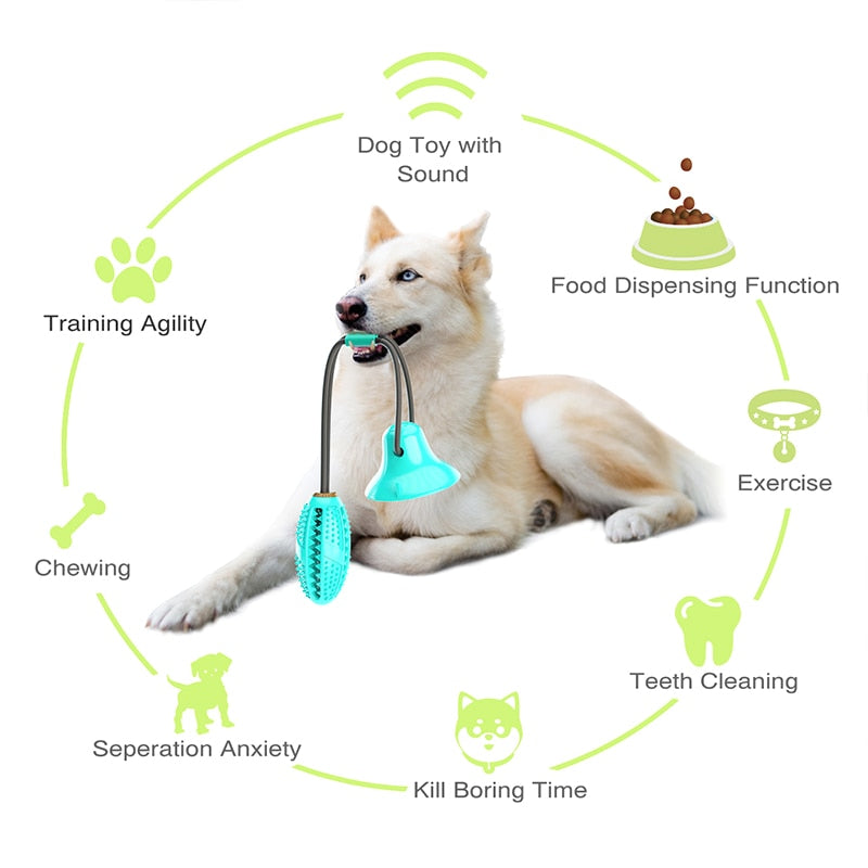 Treat Dispensing Dog Tug Toy