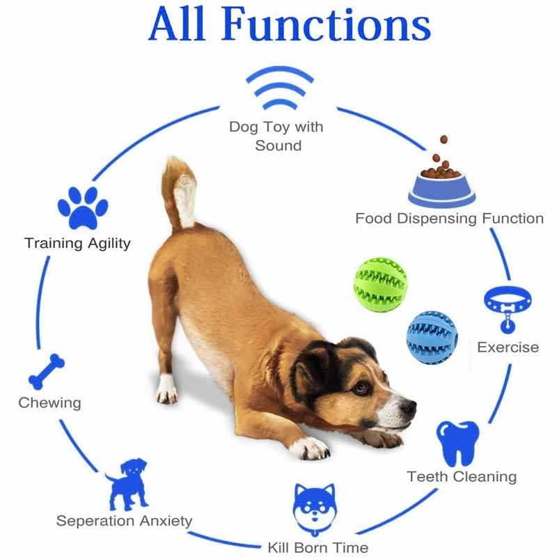 Treat Dispensing Dog Chew Toy