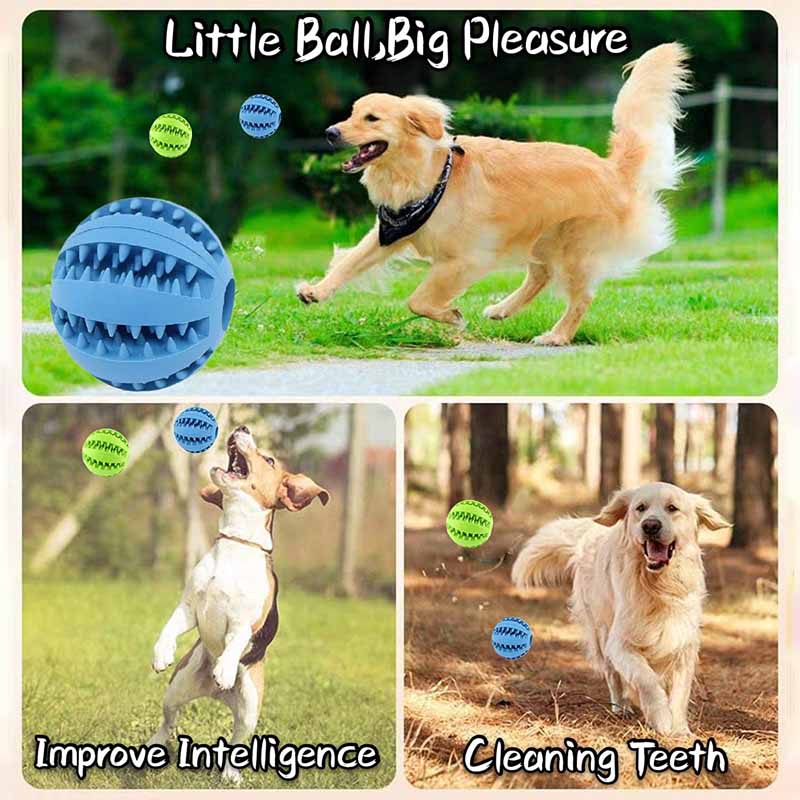 Treat Dispensing Dog Chew Toy
