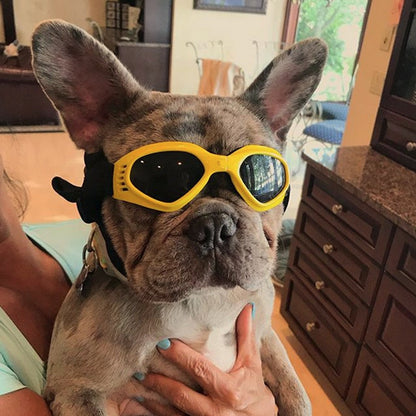 Foldable Dog Sunglasses