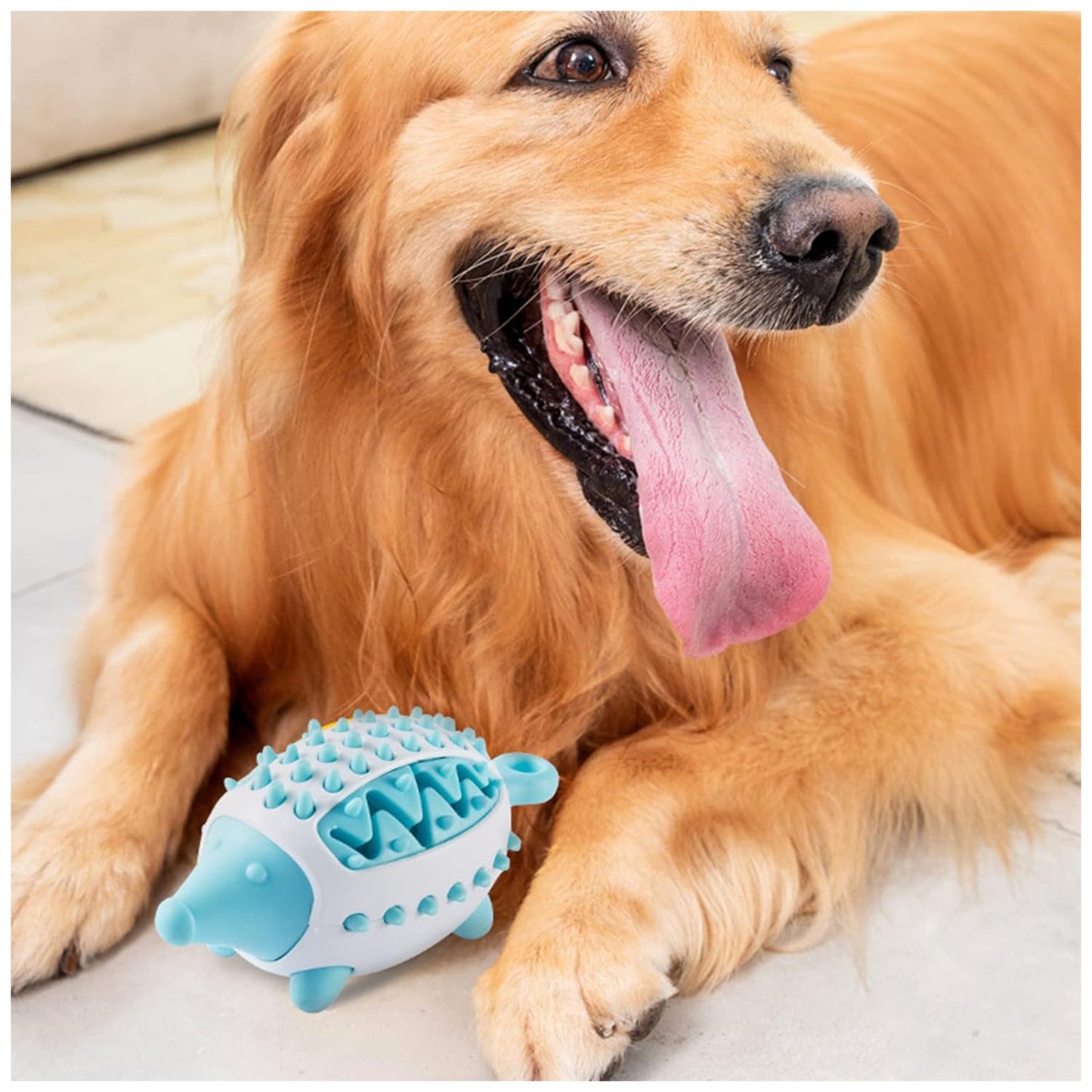 Treat Dispensing Hedgehog Dog Toy