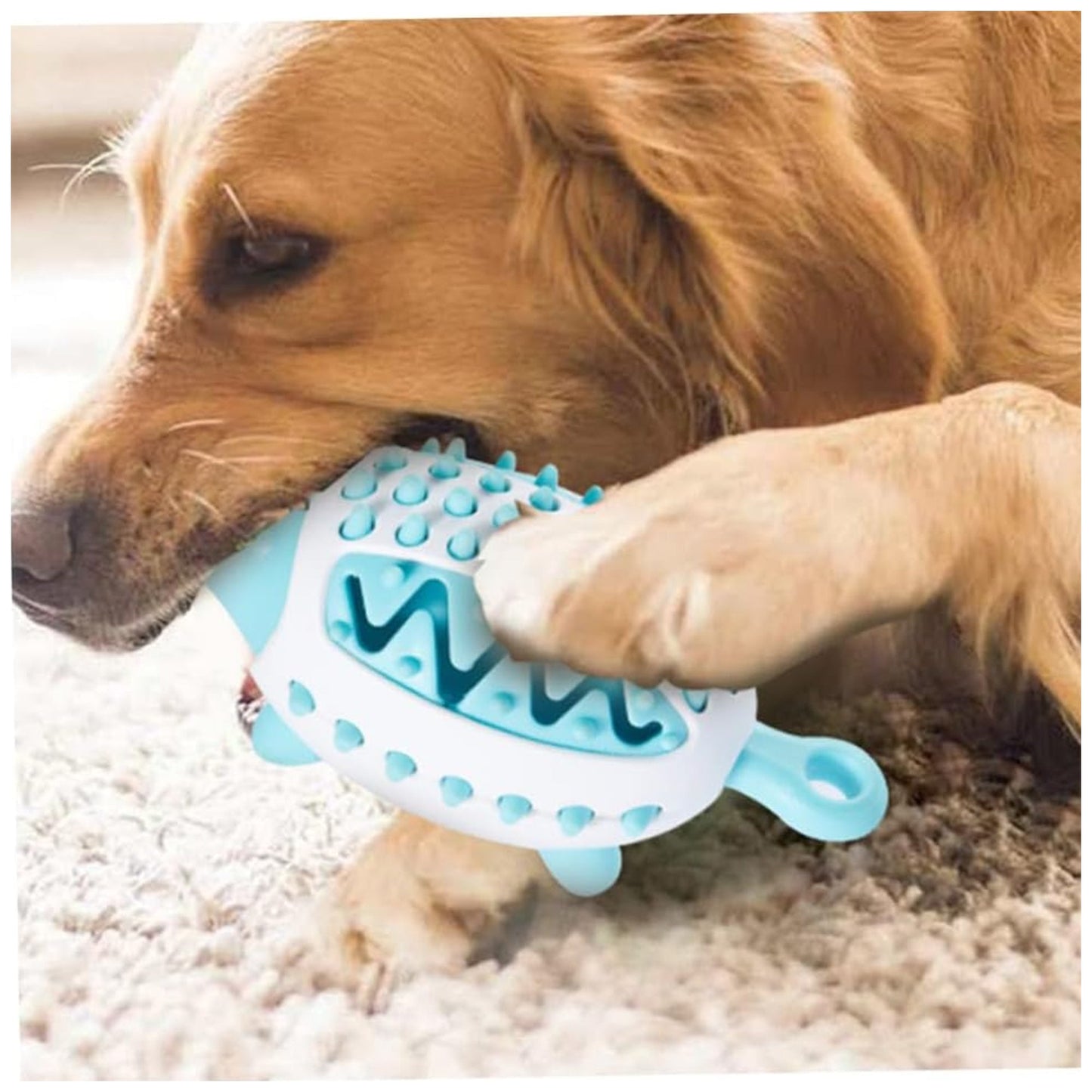 Treat Dispensing Hedgehog Dog Toy