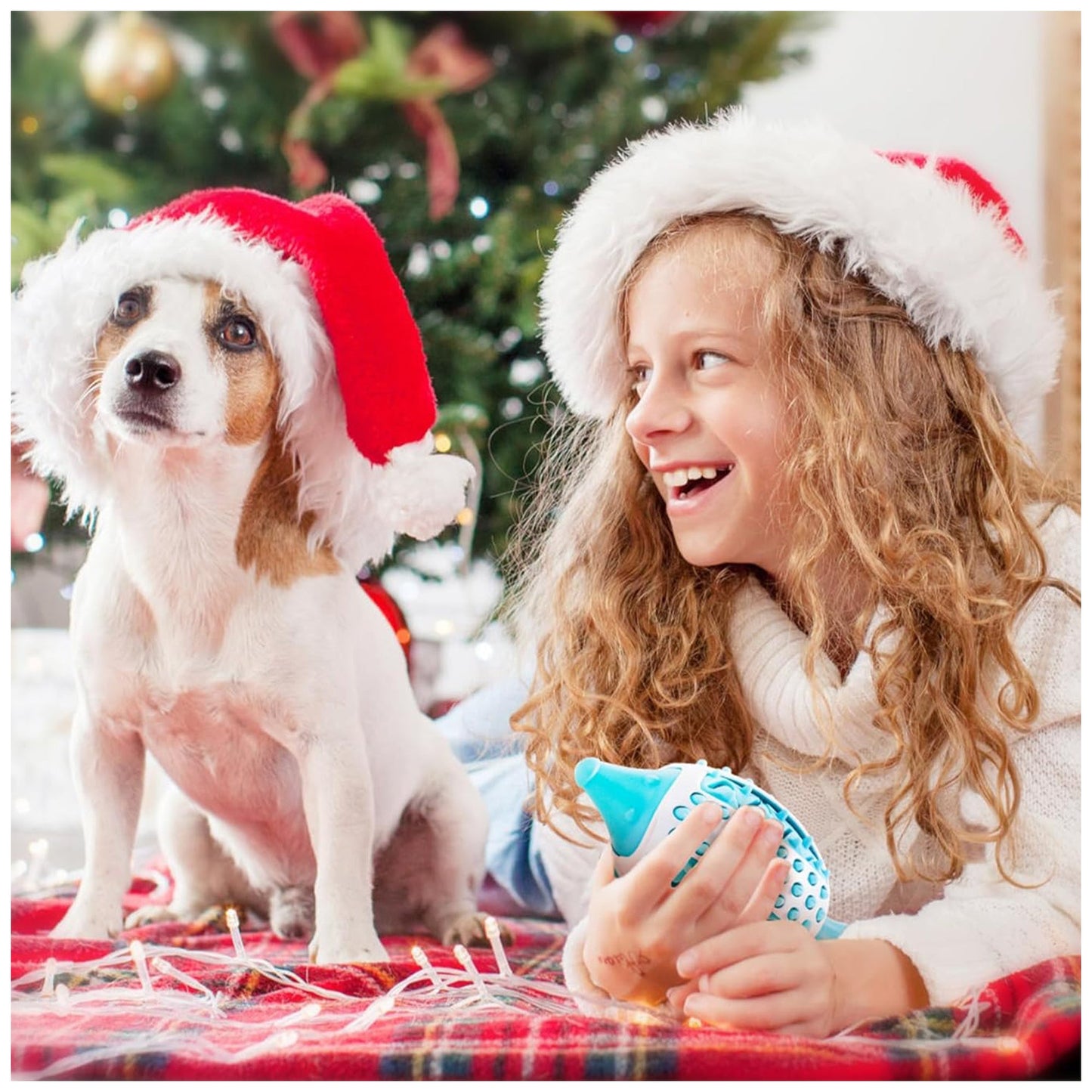 Treat Dispensing Hedgehog Dog Toy