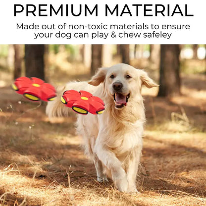 Light-Up Flying Saucer Dog Toy