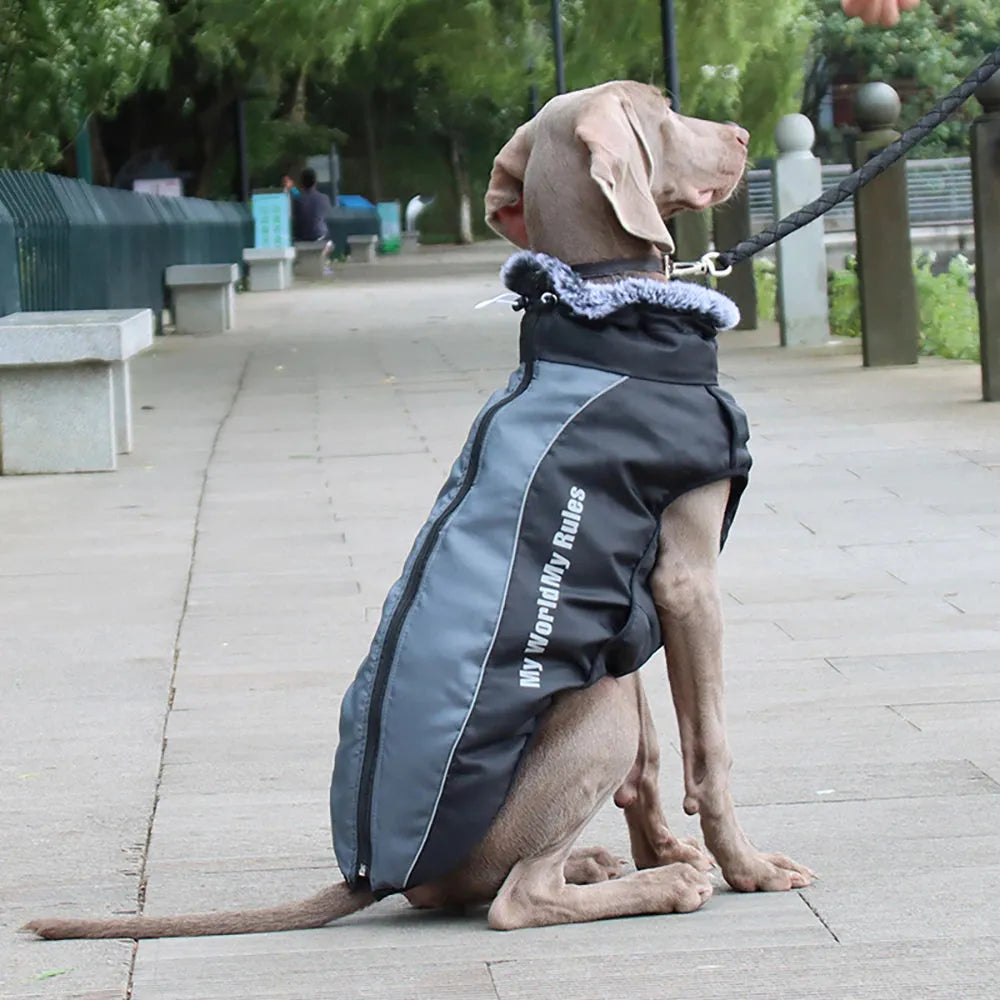 Reflective Winter Dog Coat with Built-In Harness
