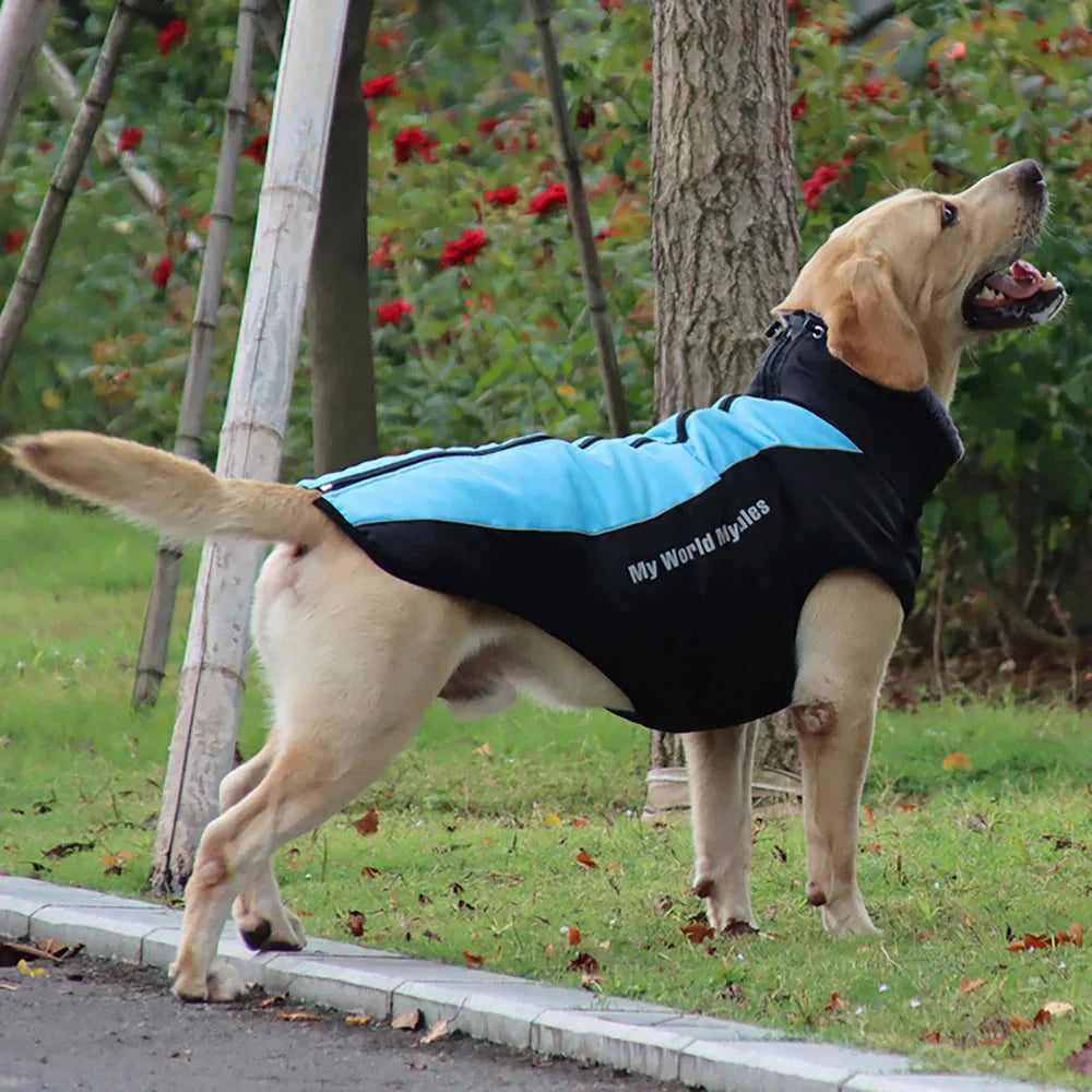 Reflective Winter Dog Coat with Built-In Harness