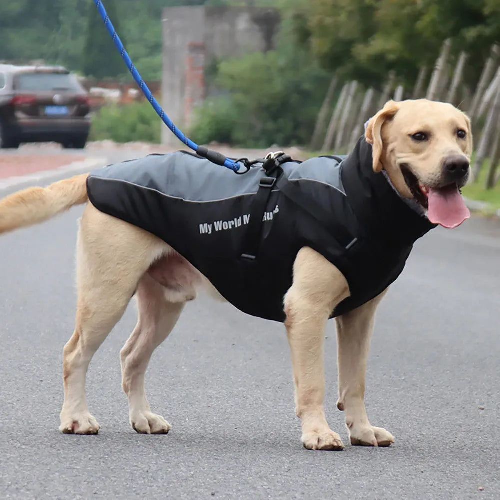 Reflective Winter Dog Coat with Built-In Harness