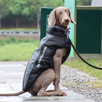 Reflective Winter Dog Coat with Built-In Harness