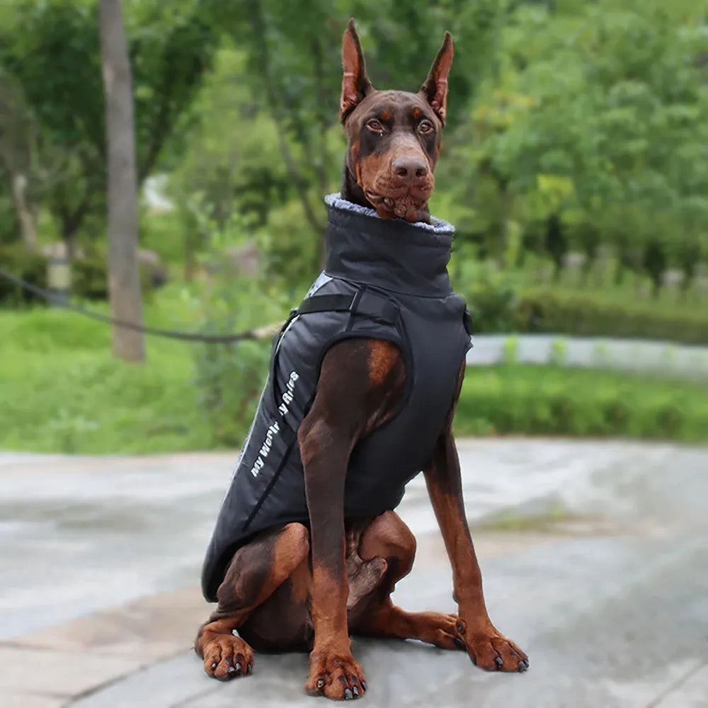 Reflective Winter Dog Coat with Built-In Harness