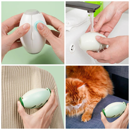 Reusable Dog Hair Remover Roller