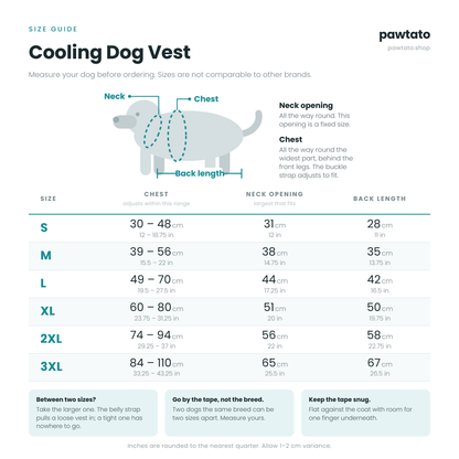 Cooling Dog Vest with Leash Ring