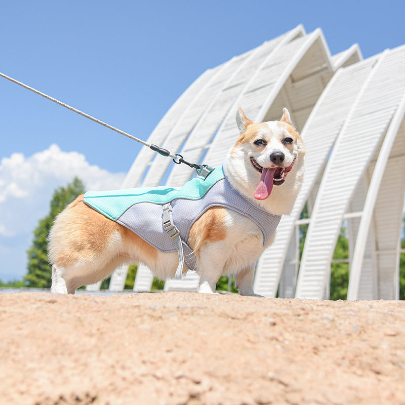 Cooling Dog Vest with Leash Ring