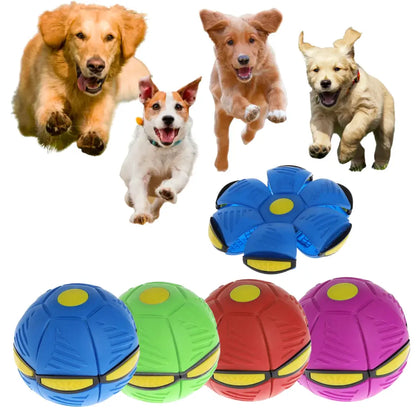 Light-Up Flying Saucer Dog Toy