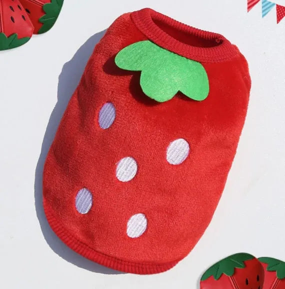 Cute Stamps - Very Small Dog Sweaters